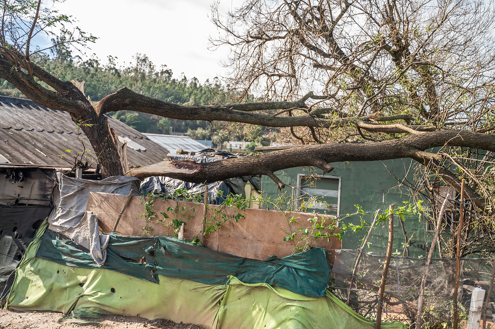 Storm damage Golden Valley